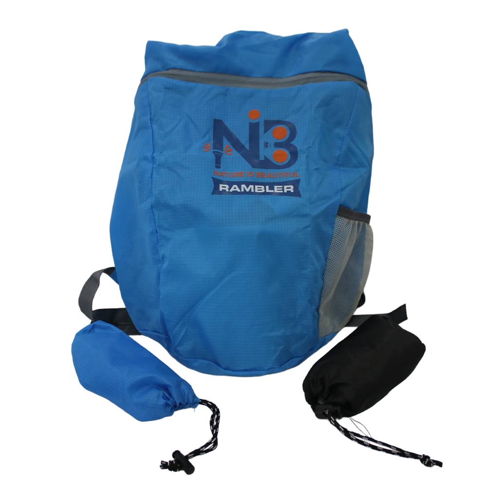 Stowaway 20L Backpack